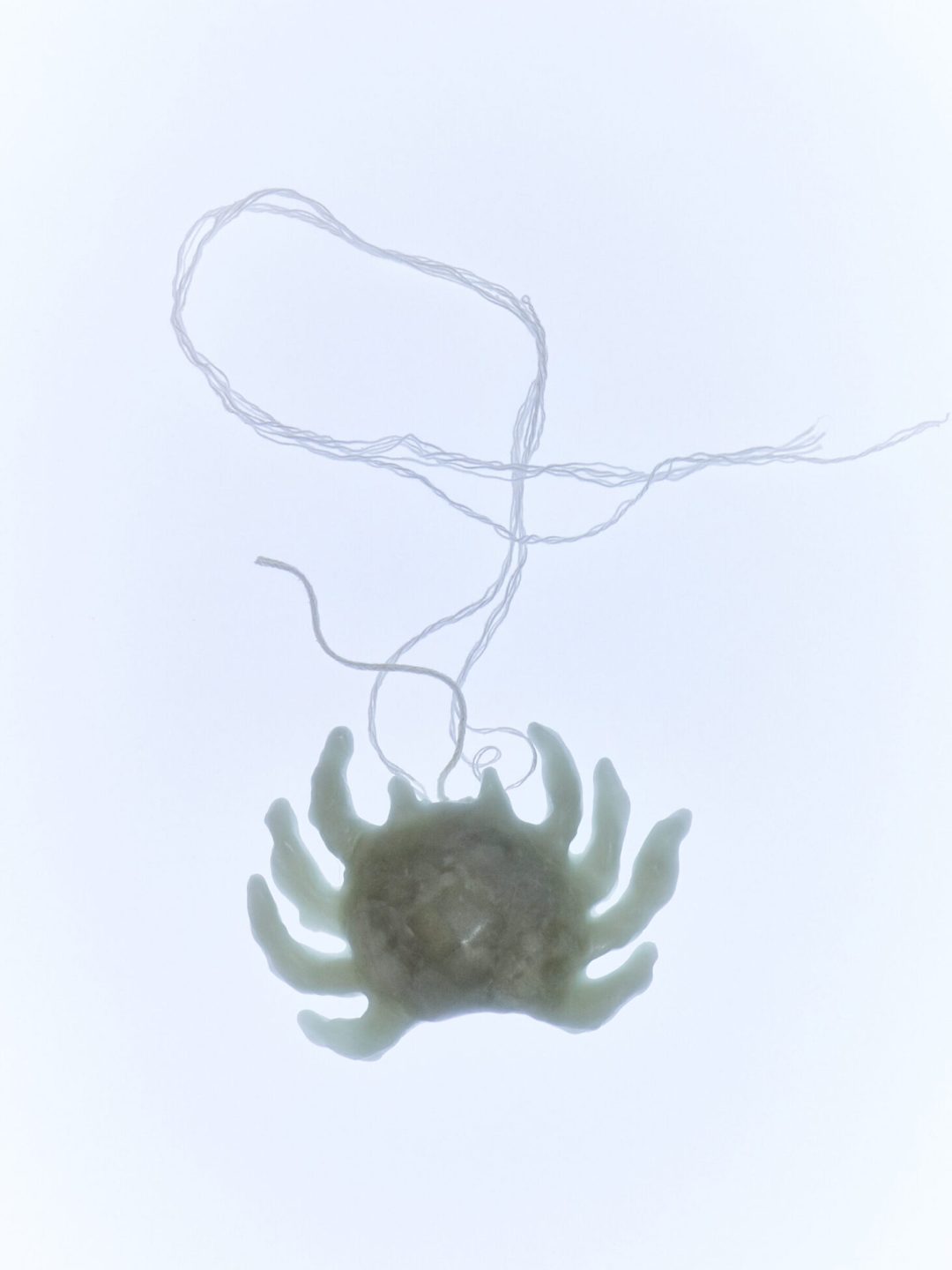 cancer zodial candle krystel liliana muy frágil