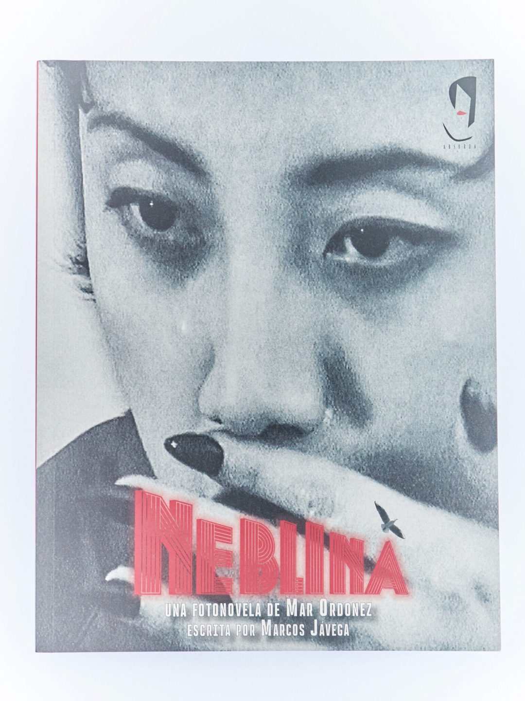 neblina absurda editorial muy frágil