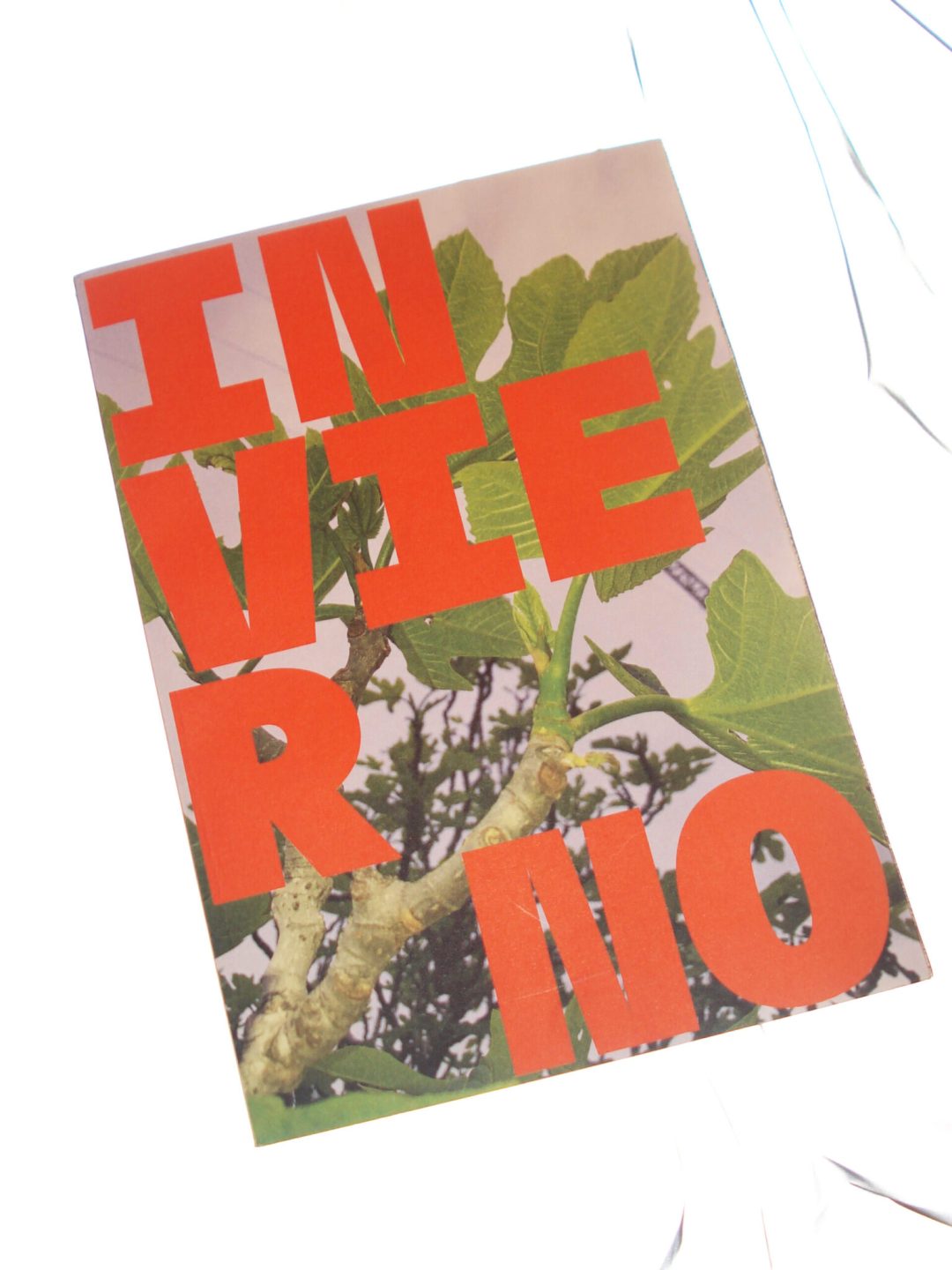 invierno turismo studio muy frágil