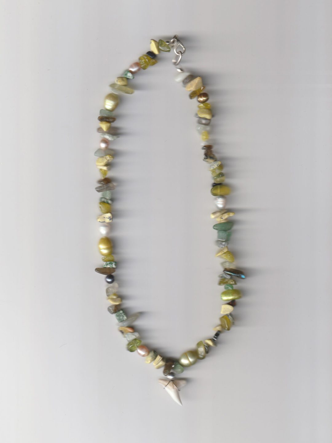 shark tooth necklace amphitrite's treasures muy frágil